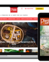 Abonnement numérique 1 an / 11 numéros