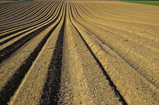 Les engrais agricoles