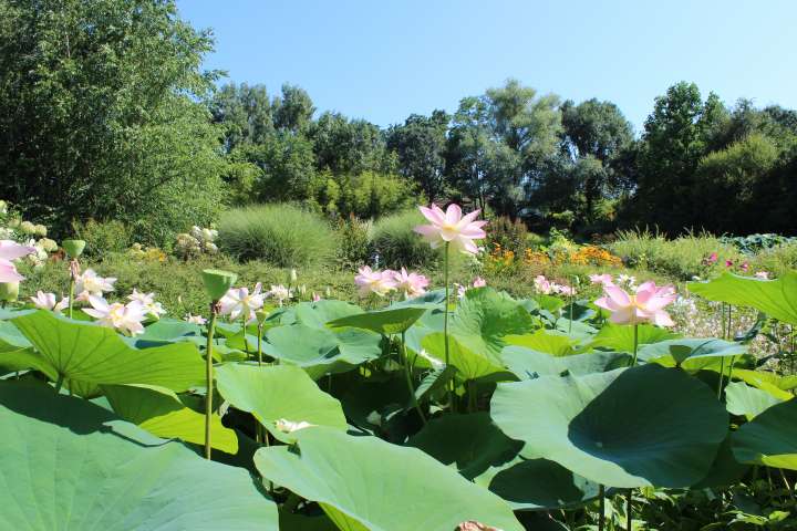 Jardin des Martels