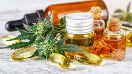 Vers une généralisation du cannabis médical