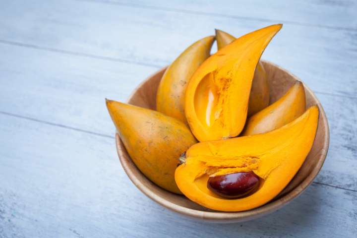 Lucuma (Pouteria lucuma)