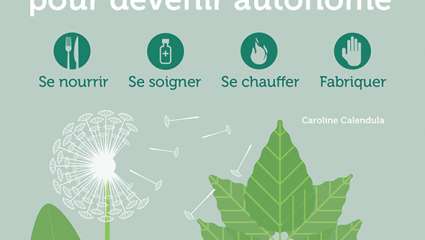 20 plantes multi-usages pour devenir autonome