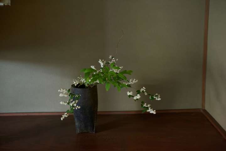 Le hanakaï, une cérémonie  de contemplation des fleurs