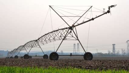 L'agriculture intensive