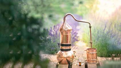 Prendre soin de soi cet été avec les hydrolats