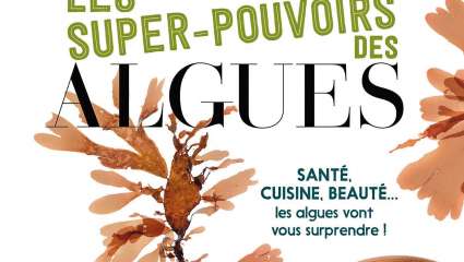 Les super-pouvoirs des algues