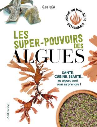 Les super-pouvoirs des algues