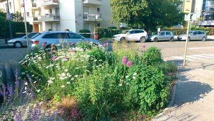 Loi Labbé ou l'espace public libéré des pesticides