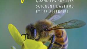 Apithérapie, quand  les abeilles soignent l'asthme et les allergies