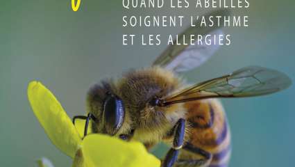 Apithérapie, quand  les abeilles soignent l'asthme et les allergies