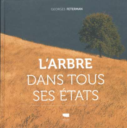 L'arbre dans tous ses états