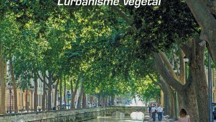 Des arbres dans la ville - L'urbanisme végétal - Caroline Mollie