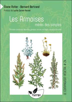 Les armoises, mères des simples