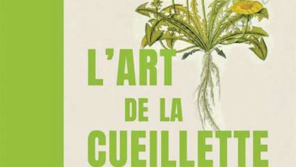 L'art de la cueillette - L'art de la cueillette - François Couplan