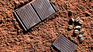La consommation quotidienne de 100 g de chocolat noir peut diminuer la pression artérielle.