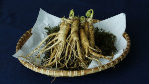 ginseng