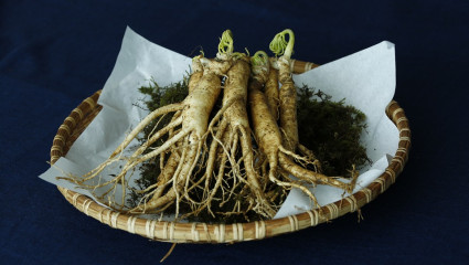 ginseng