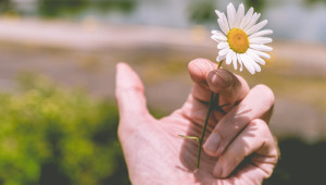 Plusieurs recettes existent pour arrêter de fumer naturellement grâce aux plantes.