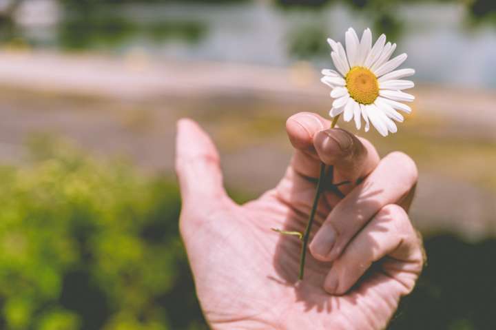 Plusieurs recettes existent pour arrêter de fumer naturellement grâce aux plantes.