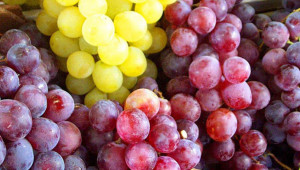 Pour que cure de raisins ne rime pas avec cure de pesticides.
