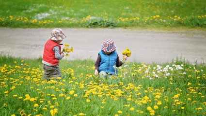 Chez l’enfant, la voie orale est déconseillée avant quatre ans.