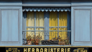 Herboristes : signez la pétition