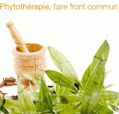 Phytothérapie : Faire front commun