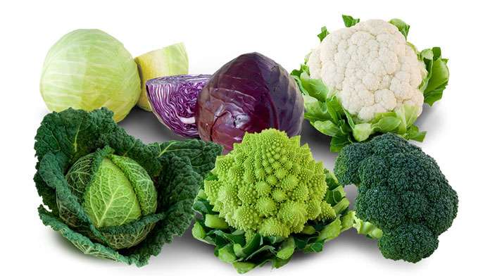 The nutritional qualities of cabbage - plants and health