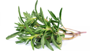 Aromathérapie : le thym
