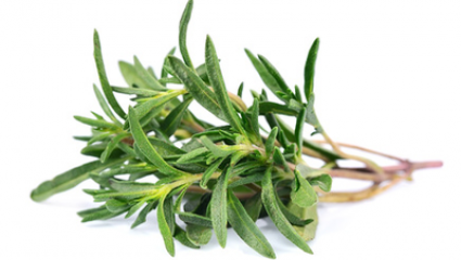Aromathérapie : le thym