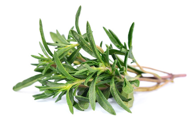 Aromathérapie : le thym