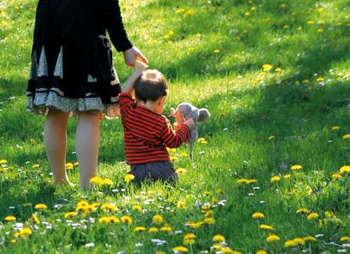 Elixirs floraux : calmer les peur de nos enfants