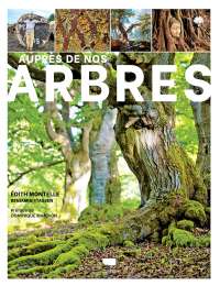 Auprès de nos arbres