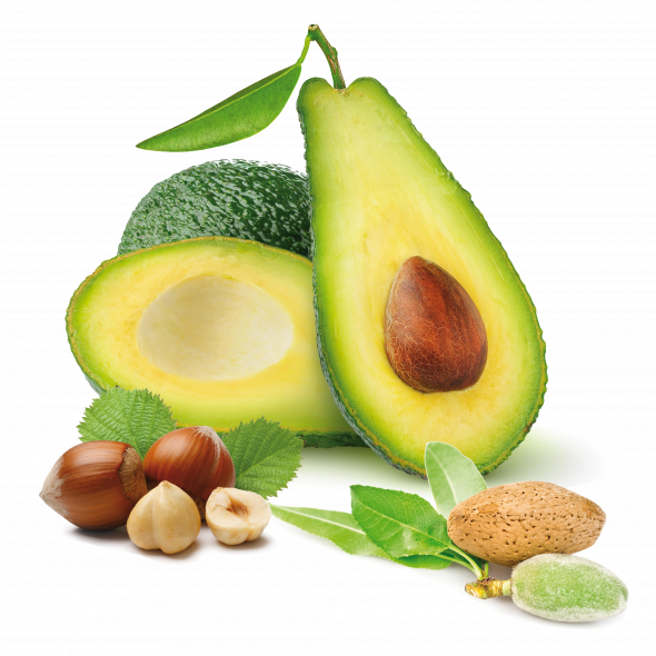 Avocats, amandes et noisettes