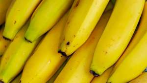 Une banane bio made in France