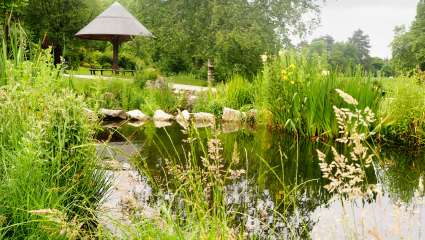 Parc Barbieux, Roubaix