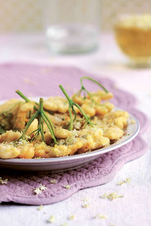 Recette de beignets de fleurs de sureau