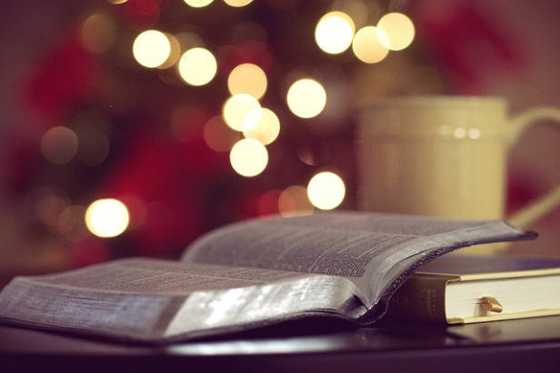 Livres : Cultiver son jardin en pleine conscience, Pollutions et santé...