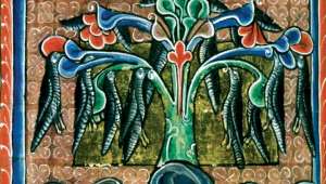 Les étonnantes légendes des « animaux-plantes »