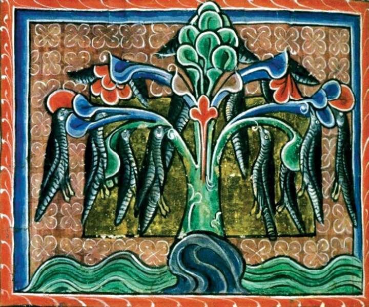Les étonnantes légendes des « animaux-plantes »