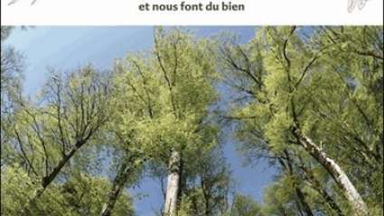 Au Bonheur des Arbres, Collectif, éd. Terre Vivante