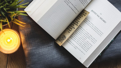 Livres : Dialogues avec des arbres remarquables en Limousin, Guide photo de la flore de Méditerranée