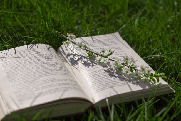 Livres : Jardins d’hiver, La fleurette et le camionneur