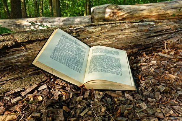 Livres : Les routes du miel, La pâtisserie crue et Le guide de l’huile de coco