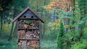 Comment protéger insectes au jardin ?