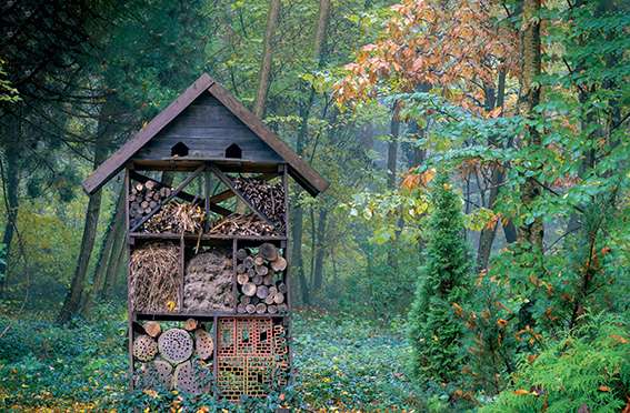 Comment protéger insectes au jardin ?