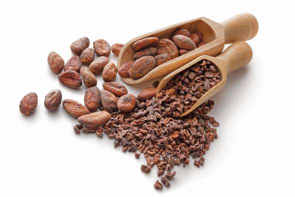 cacao