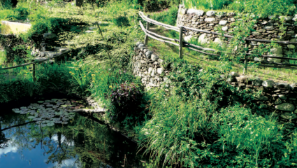 Un jardin d'eau 