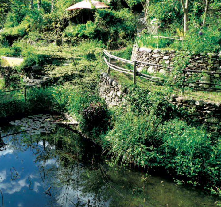 Un jardin d'eau 