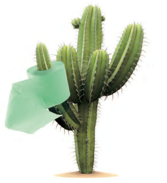 Cactus 